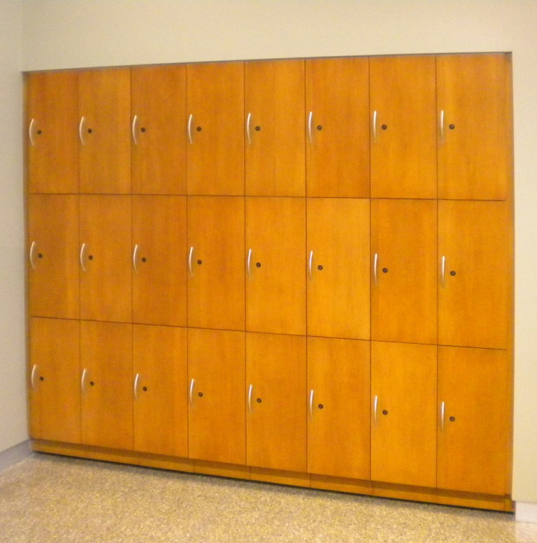 Wall Mounted Locker, Wall Mounted Lockers, Wall Mounted Storage