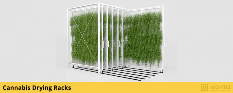 Cannabis Drying Racks - Vital Valt