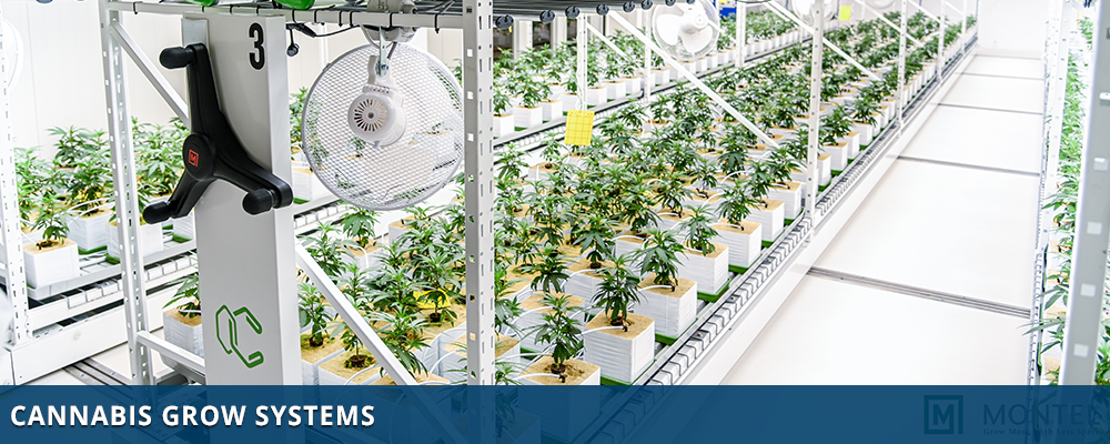 Cannabis Grow Systems - Indoor Farming Systems