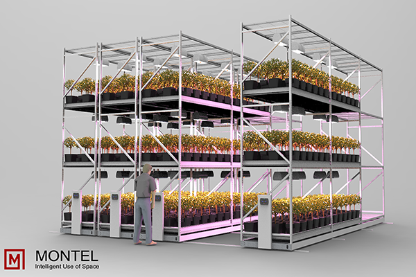 High-Density Indoor Vertical Grow Rack System