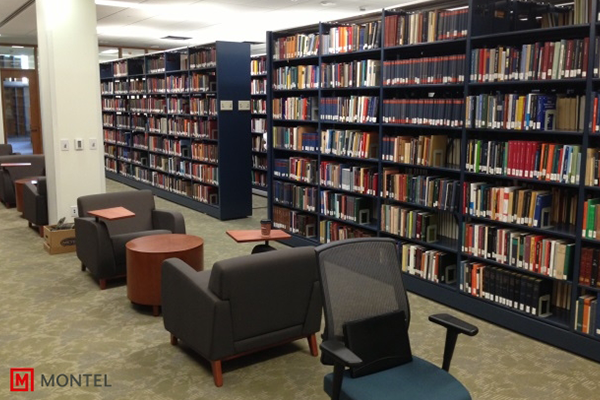 Case-Style Shelving - Library Shelves - Book Shelves