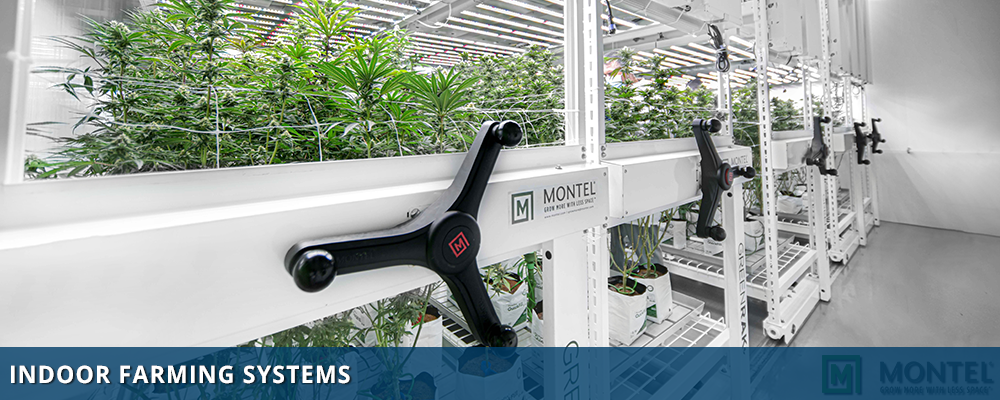 Indoor Farming Systems - Indoor Growing Systems