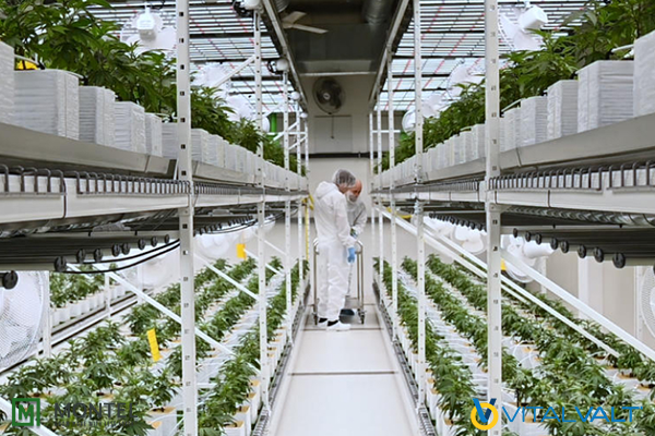 Indoor Farming Systems - Vertical Farming Shelving