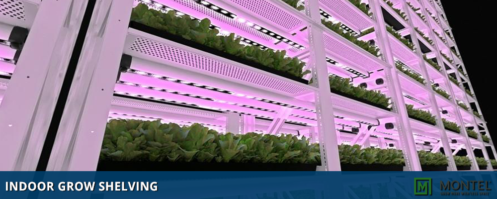 Indoor Grow Shelving - Shelving for Indoor Farming