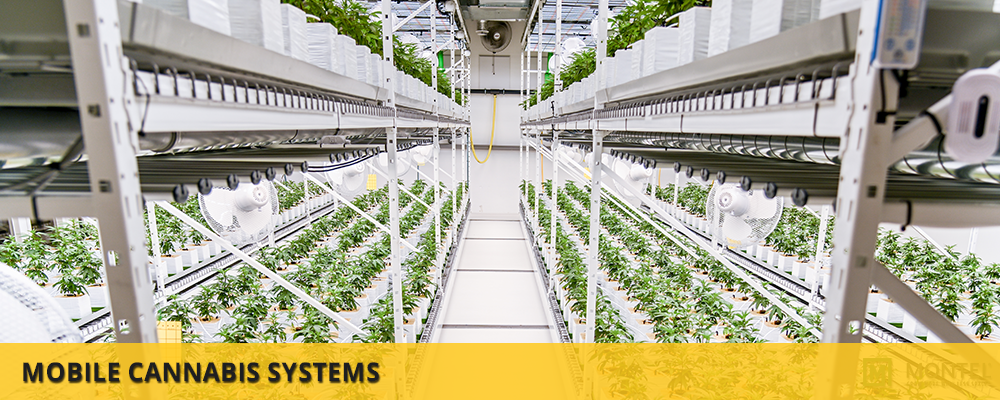 Mobile Cannabis Systems - Indoor Cannabis Grow Systems - Indoor Farming Systems