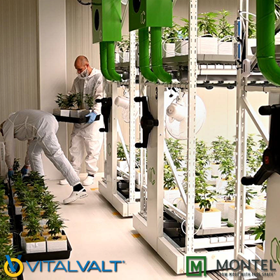 Mobile Grow Racks - Indoor Grow - Farming Systems