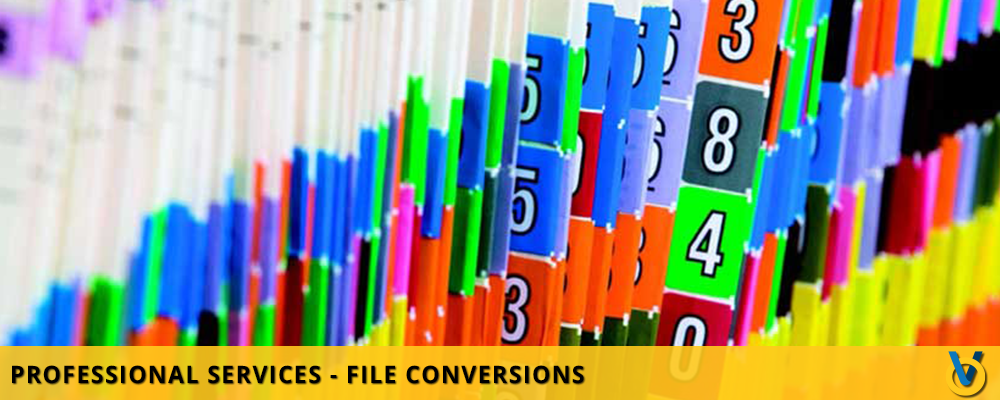 Professional Services - File Conversions - File Services
