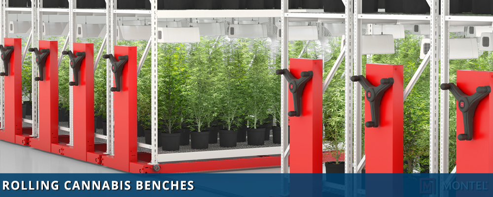 Rolling Cannabis Benches - Indoor Grow Tables