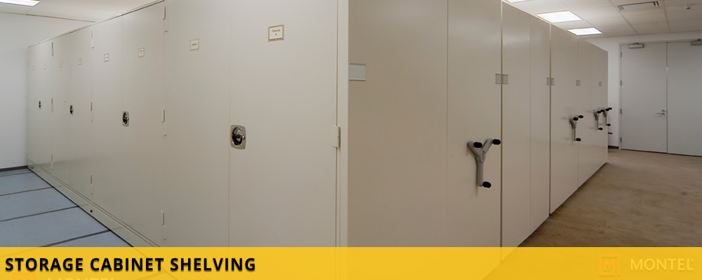 Storage Cabinet Shelving - Commercial Grade Case Type Shelving