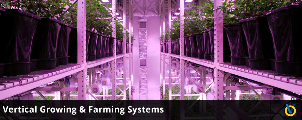 Indoor Farming & Grow Facility